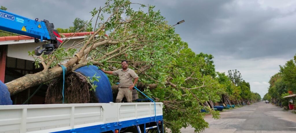 WhatsApp Image 2025-10-15 at 6.42.32 PM