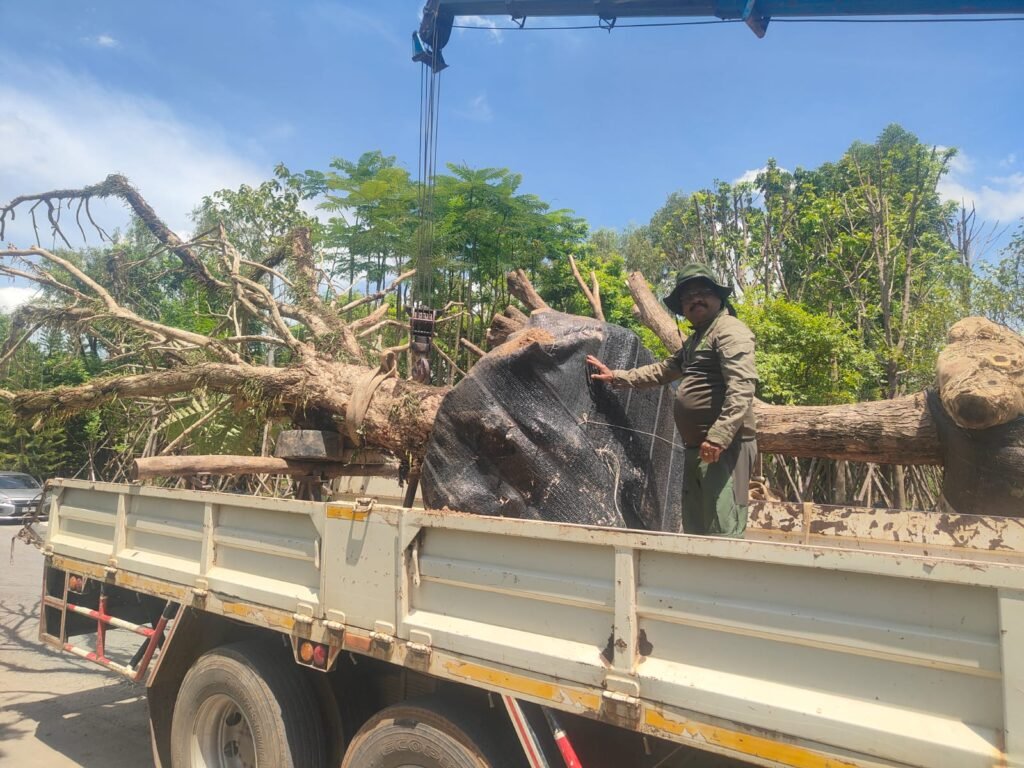 WhatsApp Image 2025-10-15 at 6.42.39 PM