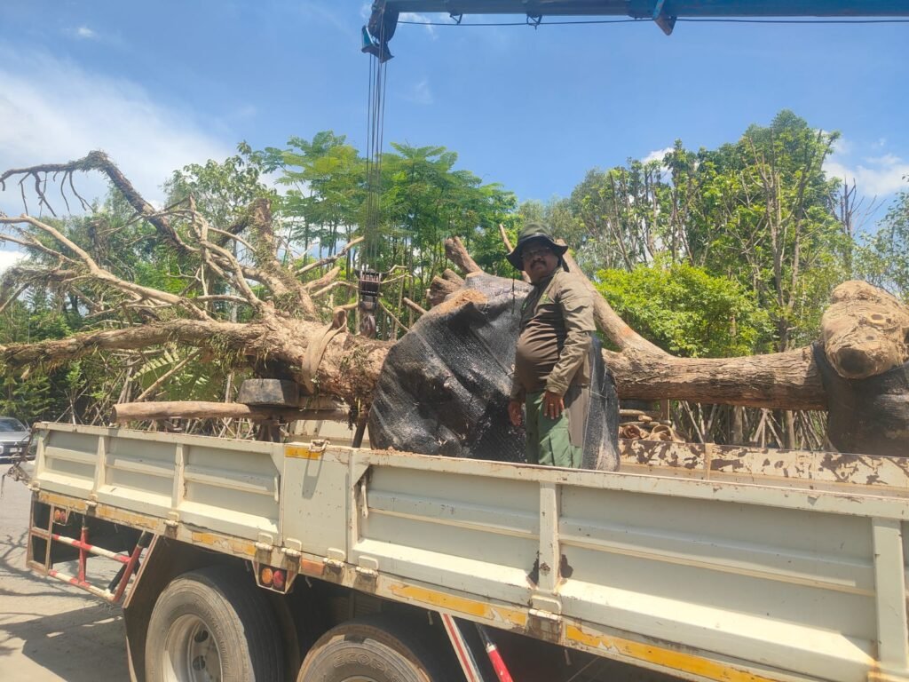 WhatsApp Image 2025-10-15 at 6.42.41 PM