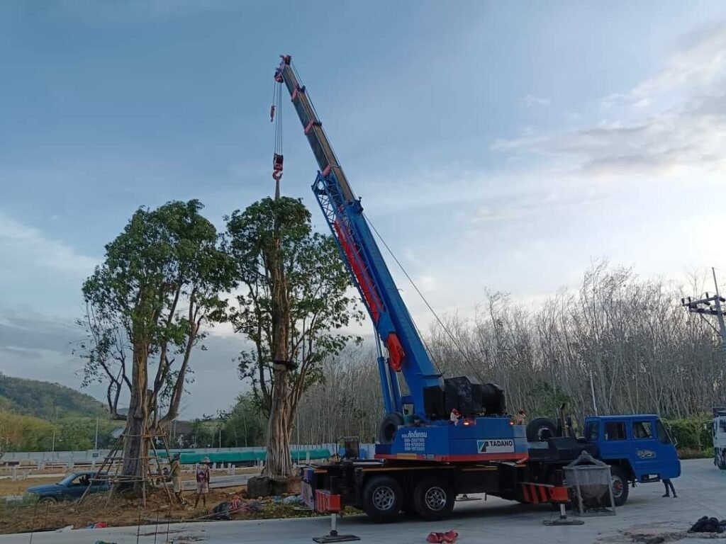 WhatsApp Image 2025-10-15 at 8.06.28 PM