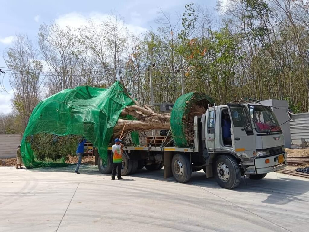 WhatsApp Image 2025-10-15 at 8.06.29 PM