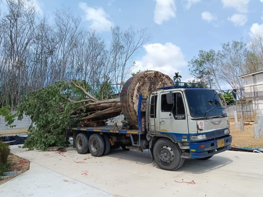 WhatsApp Image 2025-10-15 at 8.06.29 PM (2)